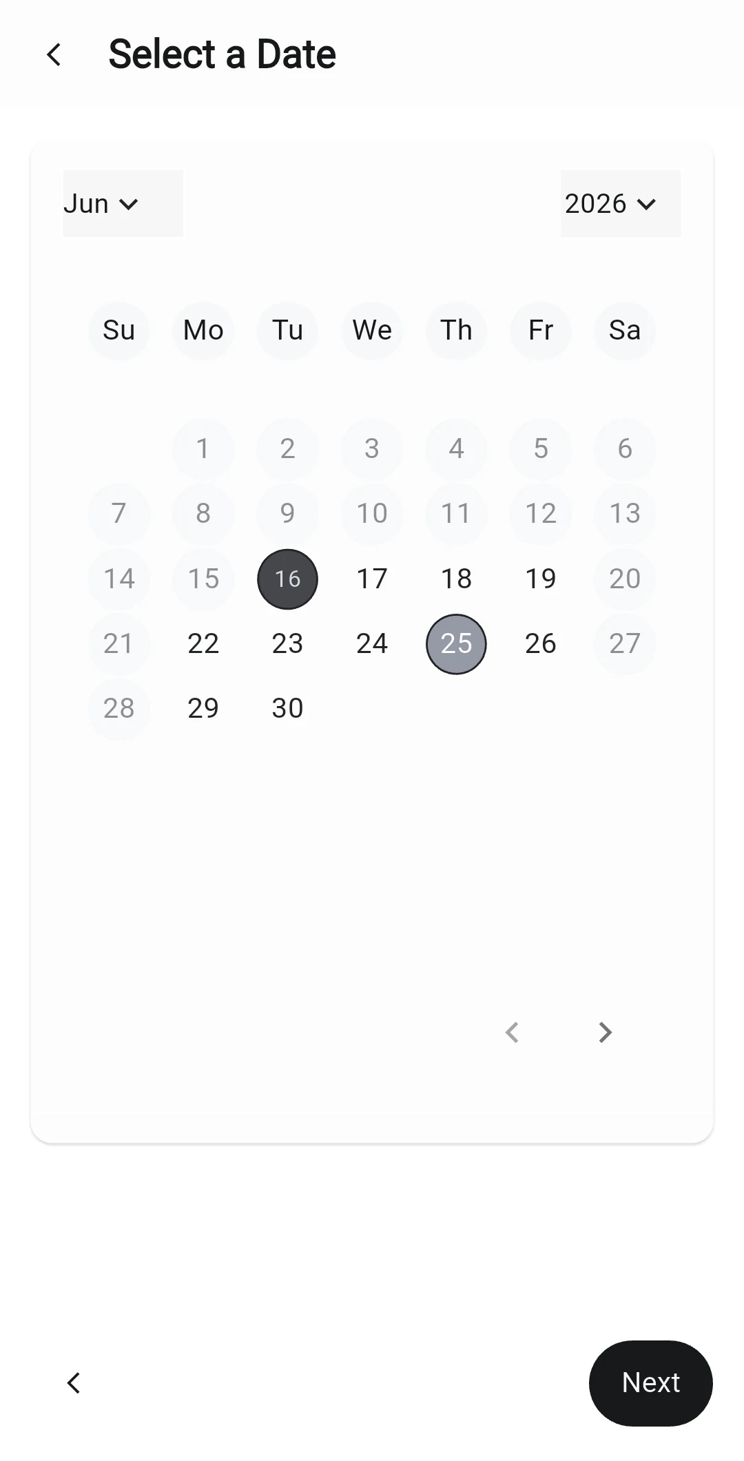 Date picker in light mode as tested.